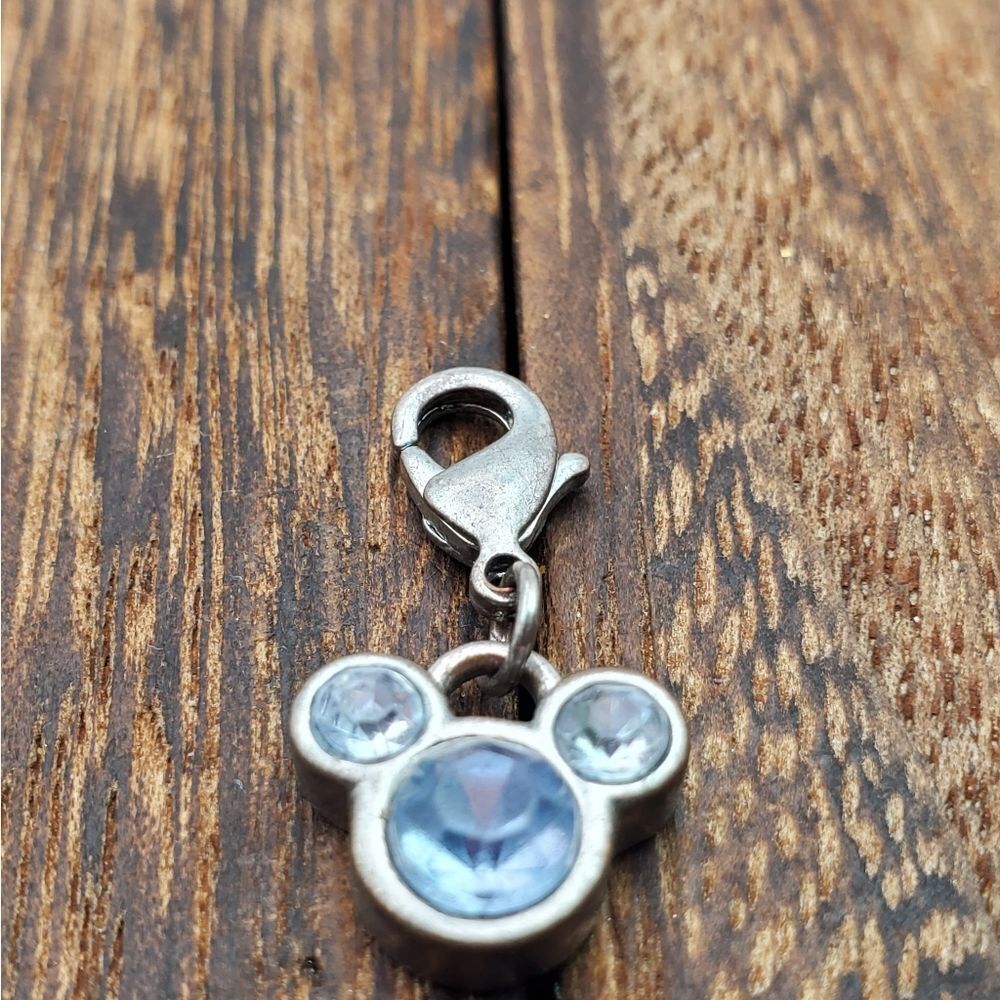 Disney‎ parks collectible charm for bracelet